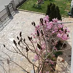 Oasis Lejlighed